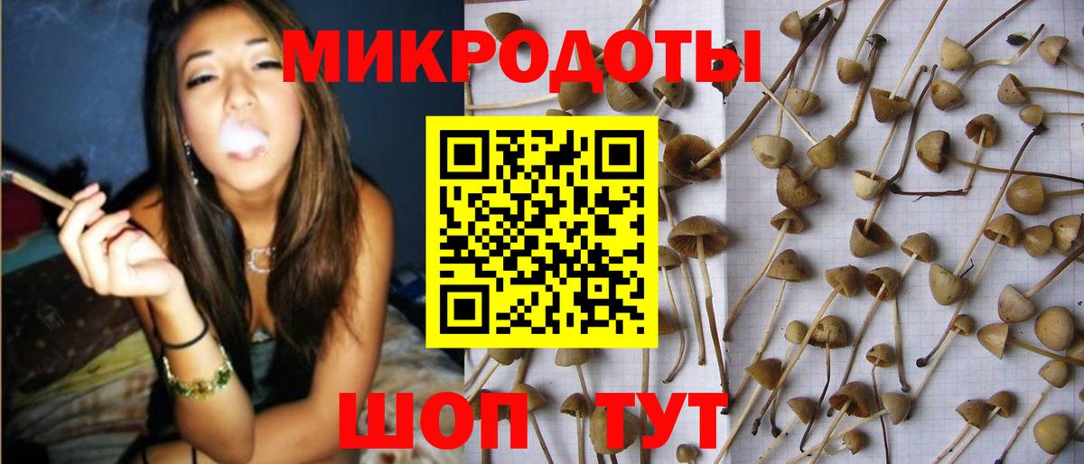 Псилоцибиновые грибы мухоморы  Вход с VPN  Солнечногорск  магазин    Псилоцибиновые грибы Psilocybine cubensis 